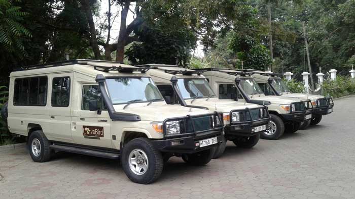 LoveBird Safari Truck Fleet